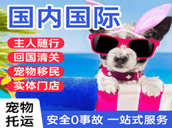 启阳机场快运国际宠物托运 【国